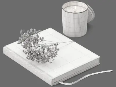 Decor flower Gypsophila books candle Set 45 3D model