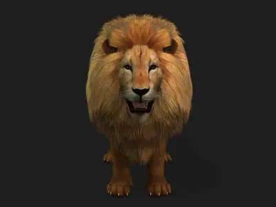 Lion with Animation 8 Low-poly 3D model