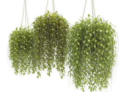 Plants collection 30 3D model