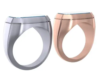 5th Onyx Signet 3D print model