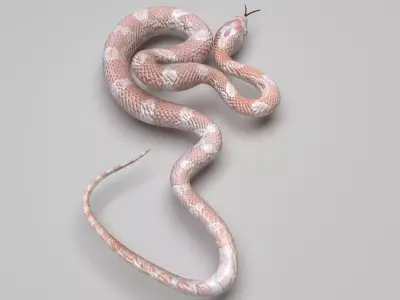 Pink Snake 3D model