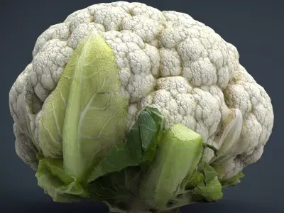 Cauliflower Low-poly 3D model