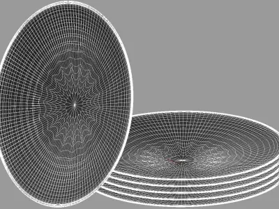 Plate Central Asia 3D model