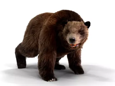 Fur Brown Bear animated  Low-poly 3D model
