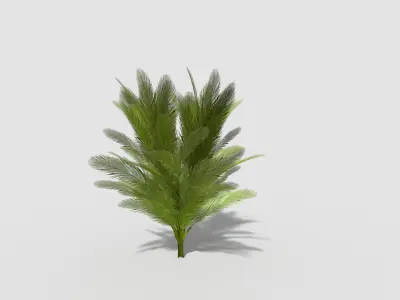 low poly tropical tree Low-poly 3D model