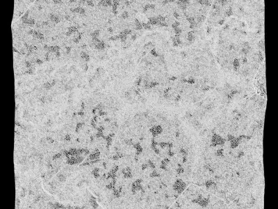 374-RockPanel sandstone rock texture 3D model