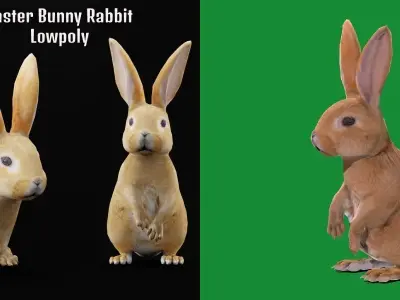 Easter Bunny Rabbit Low-poly 3D model