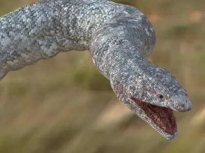 King White Snake Low-poly 3D model