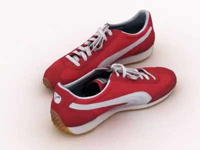 Puma Whirlwind Shoes 3D model