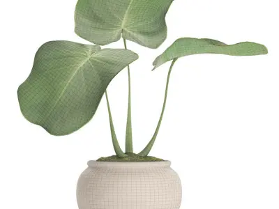 Tropical plant in pot 2 3D model