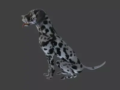 3D Dalmatian Model with Animations Low-poly 3D model