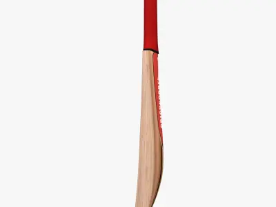 Cricket Bat Low-poly 3D model