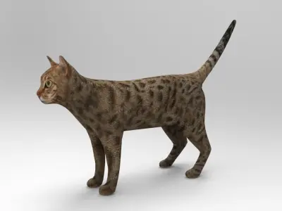 3D Cat game ready low poly model bengal Low-poly 3D model