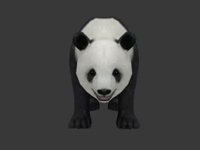 panda bear Low-poly 3D model