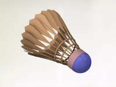 Badminton Shuttlecock 3D print model