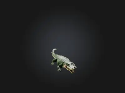 Realistic Hurt Crocodile Model Low-poly 3D model
