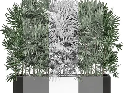 Decorative plants in a black flowerpot 515 3D model