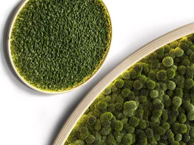 Mosswall disk 2 3D model