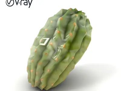 Cactus Wrinkled Overlapping Segments model pack Low-poly 3D model