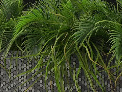 Plants collection 463 3D model