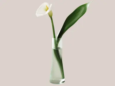 Calla lily flower 3D model