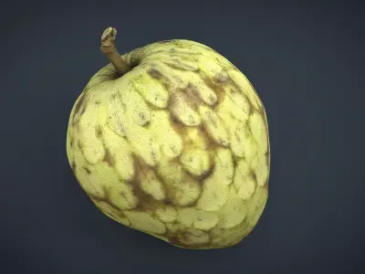 Custard Apple Low-poly 3D model