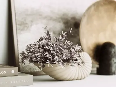 Decorative Set seashell vase 3D model