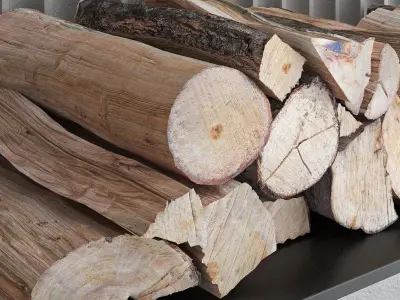 Decorative wall with fireplace set 19 3D model