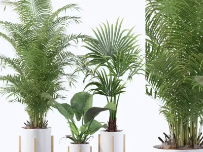 Plants collection 086 3D model