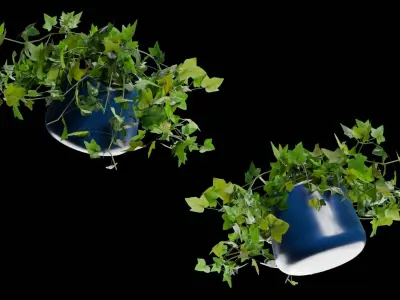 House Ivy Low-poly 3D model