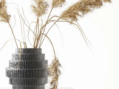 Black Vase with Pampas 3D model