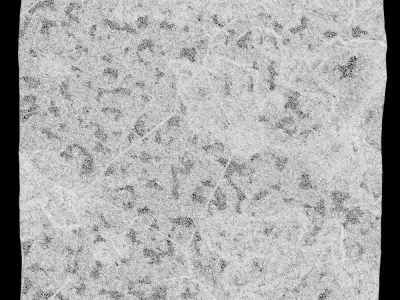 202-RockPanel piece of rock on wall 3D model