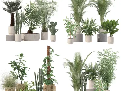 20 Photorealistic Flowers for Interiors - set 203 205 213 218 3D Model Collection