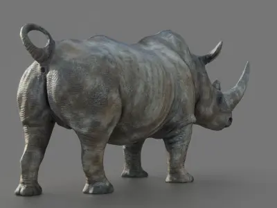 White Rhino Low-poly 3D model