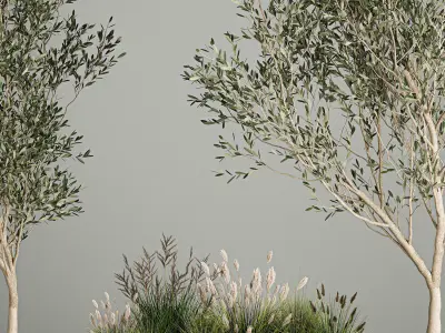 Decorative trees in concrete pots with bushes 3D model