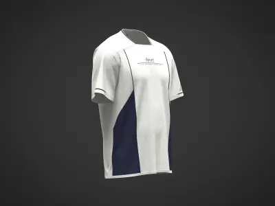 Mens sport Jersey T-shirt with graphic  3D model