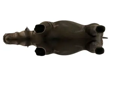 3D rhino rhinoceros realistic Model  Low-poly 3D model