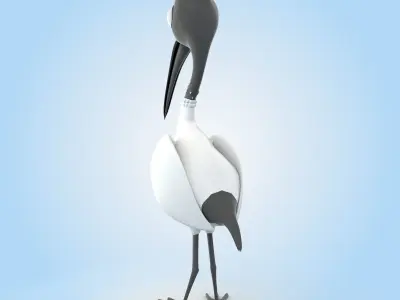 Ibis Bird 3D model