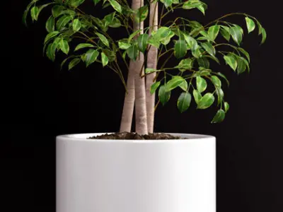 Plant 70 3D model