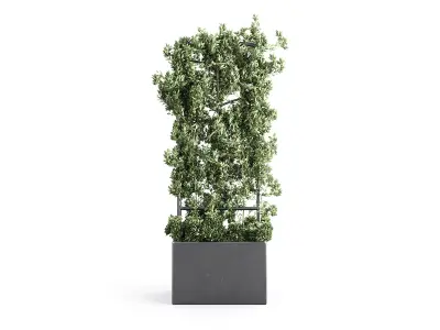 Botanical Planter 3D model