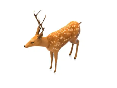 Cute Deer Rigged  Low-poly 3D model