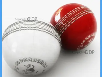 Cricket Ball 3D model
