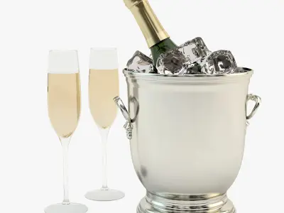 Cooling Champagne 3D model