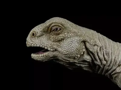 Uromastyx-Lizard Low-poly 3D model