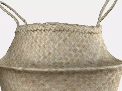 FLADIS Basket 3D model