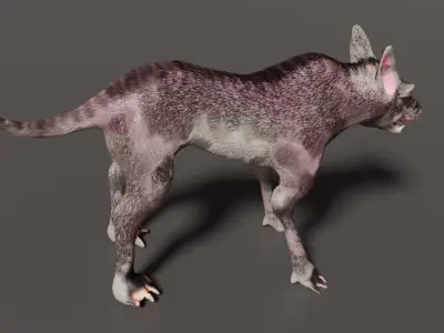 hound wolf 3D model