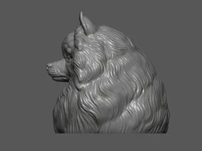 Pomeranian with a closed mouth 3D print model