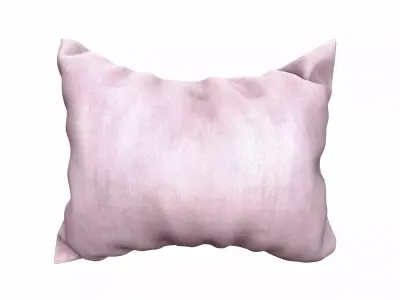 Velvet Rectangular Pillow 3D model