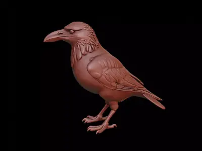 Crow Animal Sculpture 3D print model purchase
