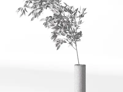 Plants Bouquet 08 3D model